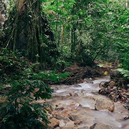 Oyo 441 Kandy Hill Bungalow Luaran gambar