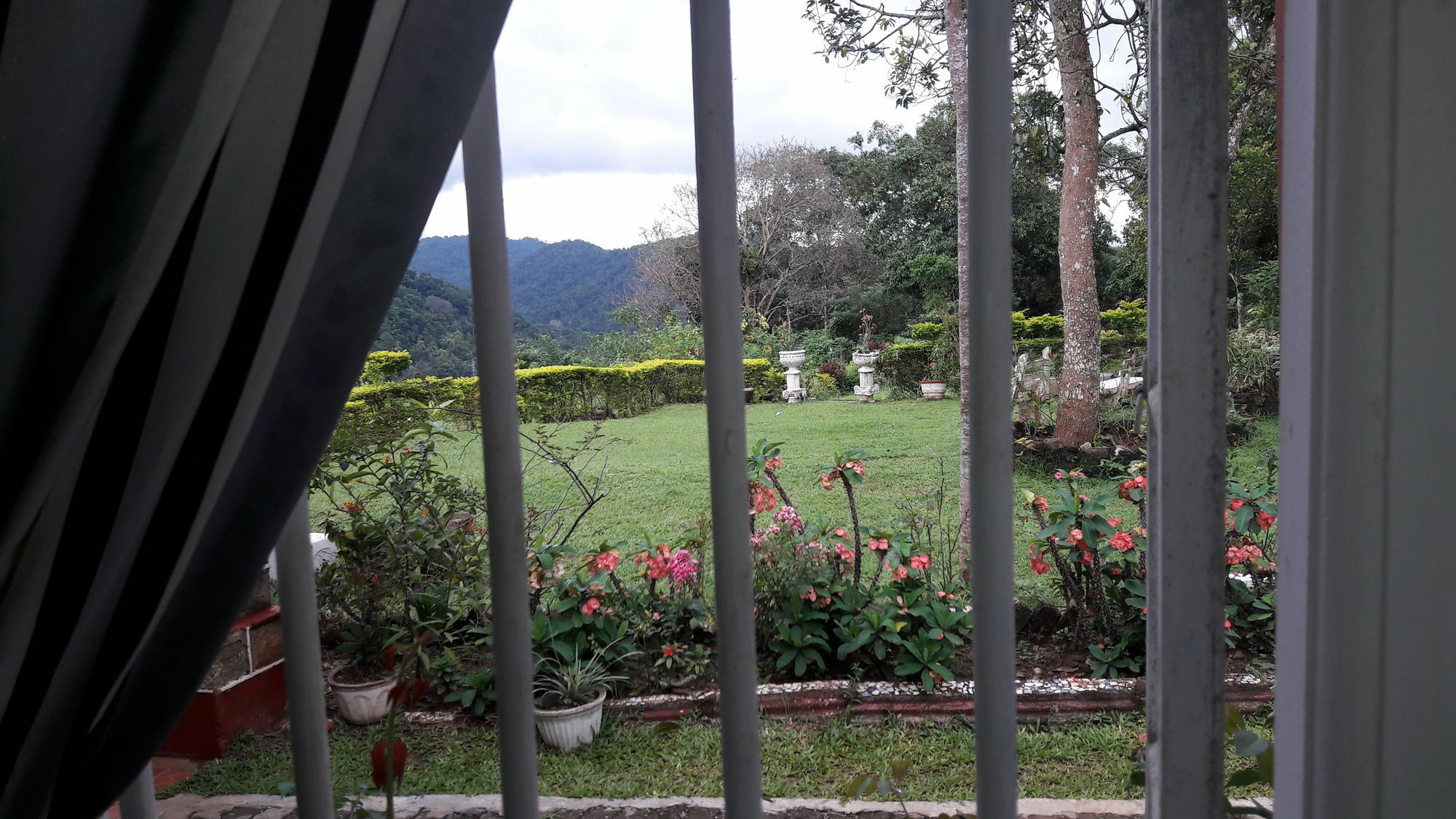 Oyo 441 Kandy Hill Bungalow Luaran gambar