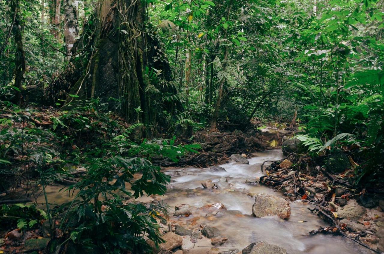 Oyo 441 Kandy Hill Bungalow Luaran gambar